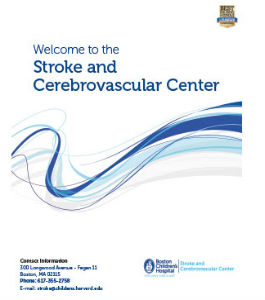 Cover of Stroke and Cerebrovascular Center welcome guide