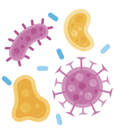 Illustration of bugs and germs