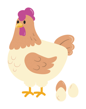 Illustration of chicken and laid eggs
