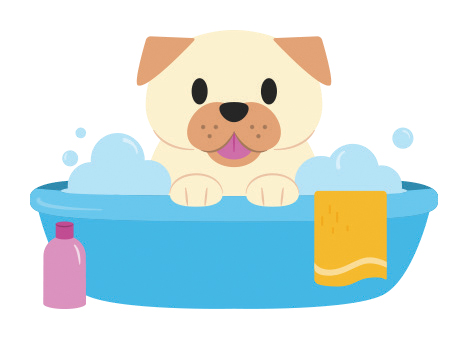 Dog taking a bath with a washrag and shampoo next to tub