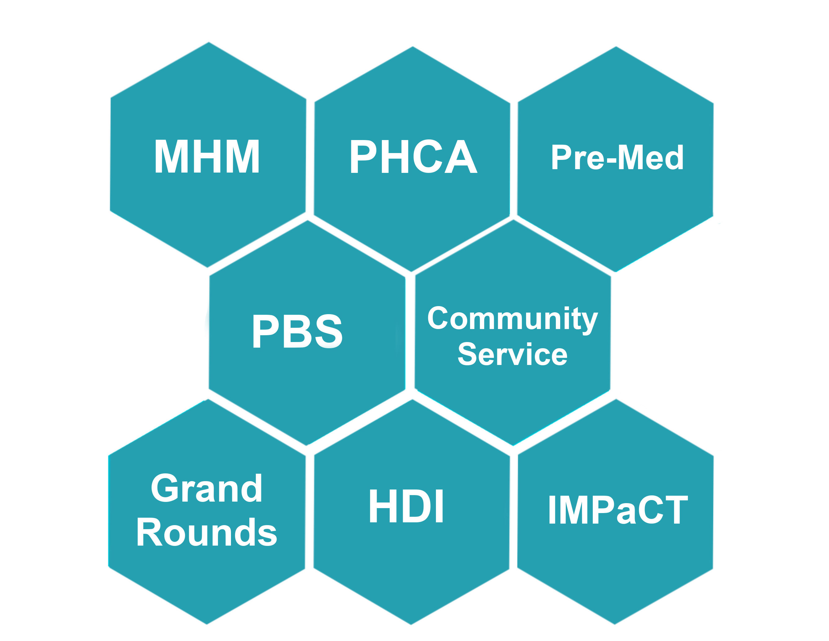 Eight teal honeycomb pieces in three rows with verbiage in white lettering inside each honeycomb saying MHM, PHCA, Pre-Med, PBS, Community Service, Grand Rounds, HDI, IMPaCT