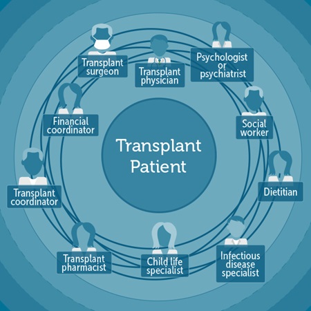 Transplant Team Graphic