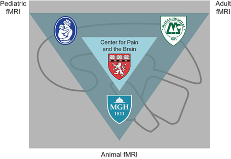 Animal fMRI Triangle