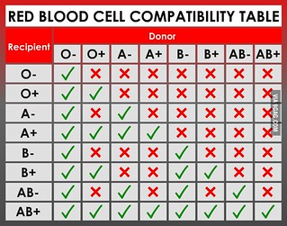 Red Blood Cell Compatibility Table