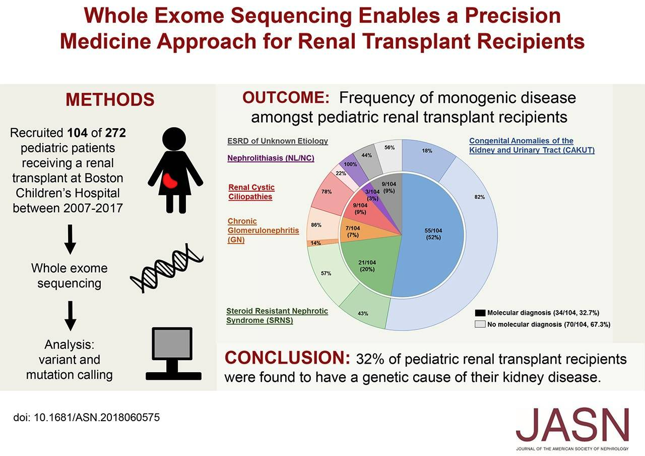 Visual abstract ASN Whole exome sequencing