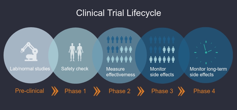 Clinical Trial Lifecycle Diagram
