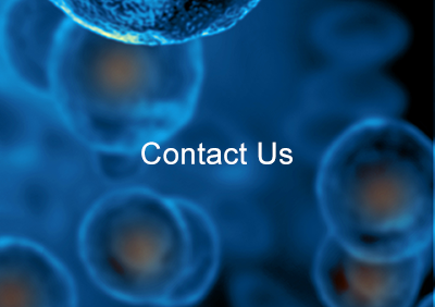 Rowe Lab: Contact Us