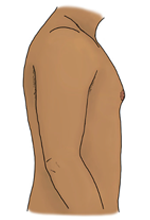 illustration of male body from side perspective with slightly enlarged breasts