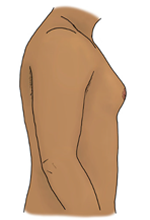 illustration of male body from side perspective with pointed, slightly enlarged breasts